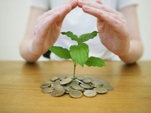 renda-fixa-investimento