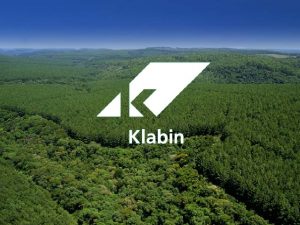 Read more about the article Klabin (KLBN4): Análise de Negócios