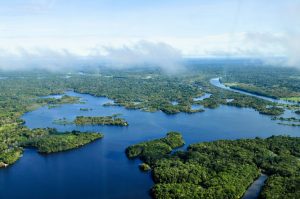 Read more about the article Amazônia : guerra das narrativas quanto à questão ambiental brasileira